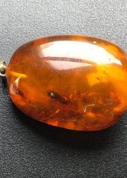 antique amber 234234643634